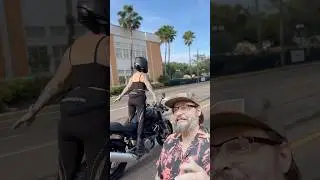 When pure stupidity saves you