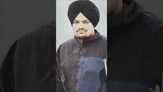 siddhu musewall fan #song
