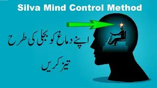 Brain Frequencies For Manifestation | Silva Mind Control Method in hindi urdu