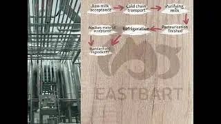 The production process of camel milk powder #camelmilk