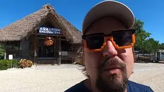 Florida Keys Aquarium Encounters Vlog
