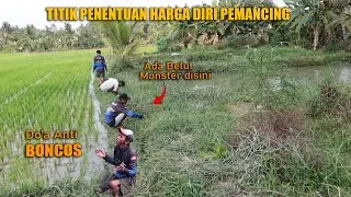 PARIT KECIL ANTARA SAWAH DAN KOLAM DIHUNI BELUT MONSTER