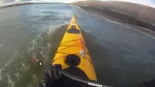 Rockpool Taran surfing