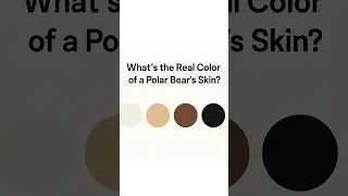WHAT'S THE REAL COLOR OF A POLAR BEAR? TRIVIA #trivia #game #challenge #real #fun #viral #polarbear