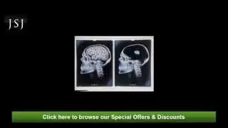 Sekonda Designer Watches 1980s Brain Advert 2 | Sekonda Watches
