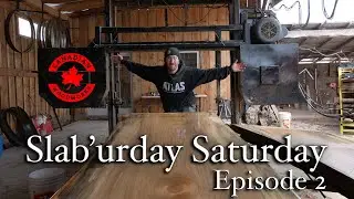 Slaburday Satuday - Big old Elm log on the sawmill