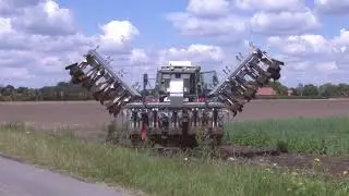 WEED CONTROL IN ONIONS. Weed burners for onions crops by ENVO-DAN