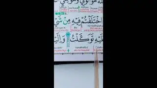 belajar bersama sampai bisa insyaallah!