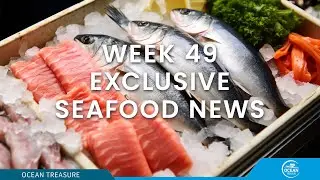 PACIFIC MACKEREL Big sizes remain limited