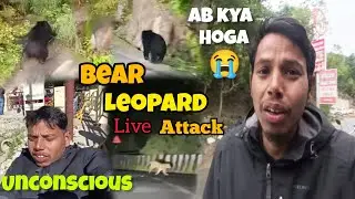 माउंट आबू आने से पहले यह विडियो जरूर देखना 😱🐆 || Very Dangerous From Wild Leopard and Bear Mount Abu