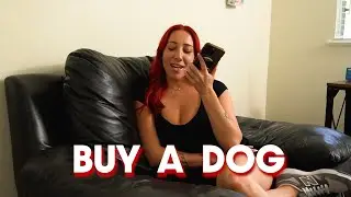 You Should Buy A Dog