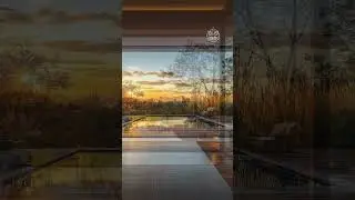 Inside looking out  #ModernLandscaping #OutdoorInspiration   #CustomLandscapes #LandscapeIdeas