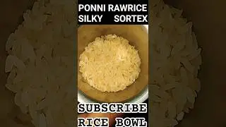 #186  ASMR SOUNDS|ASMR RAW RICE EATING|Raw Rice Eating Asmr|Ponni Rice Silky Sortex|Raw Rice