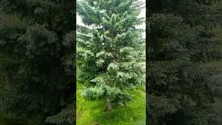 24 мая 2025 г.