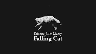 Falling Cat (&Eacute;tienne-Jules Marey, 1894)