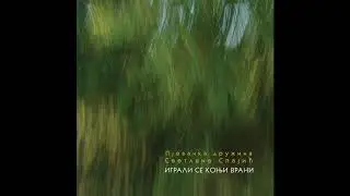 Pjevačka družina Svetlane Spajić - Igrali se konji vrani - (Audio 2019)