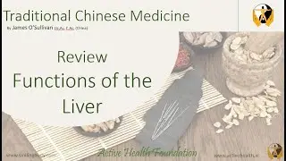 TCM Functions of Liver (Gan)