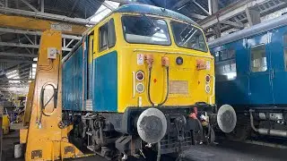 56006: The Comeback Continues - A Long Way To Go! (Part 1.5)