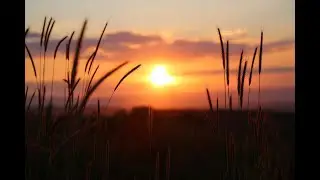 Relaxing Farming & Harvest - 4K Drone Footage - Fields of Peace - EP 02