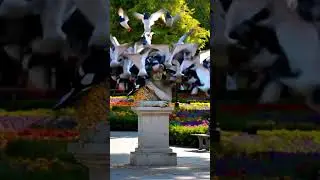 Statue Escape ,The Great Statue Escape in the Park | Funny AI Animation Short #Shorts#meme#youtybe