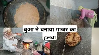 Desi vlog 🥰👉 बुआ के आने से घर में आई रौनक बच्चों के लिए बनाया गाजर का हलवा🙏🥰