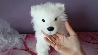 Unboxing Sammy the Samoyed puppy dog by Douglas Cuddle Toys 🥺💖