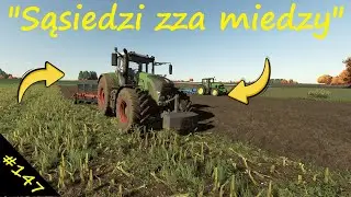 Orka po kukurydzy 