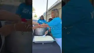 Nextlevelliving SA FeedMysheep Heideveld