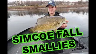 Smashin' Smallies (2019 Lake Simcoe Fall Smallmouth Fishing)