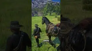 The biggest horses in RDR2 🐎