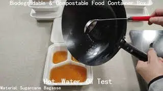 Testing of our biodegradable sugarcane bagasse food container box