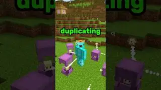 Minecraft Shulker Duplication?! ⛏💎