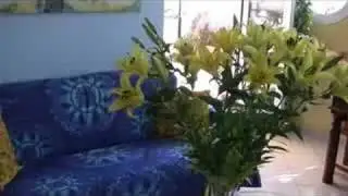 my home in torvaianica