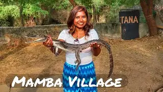 Eating Crocodile in Mamba Village of Mombasa, Kenya