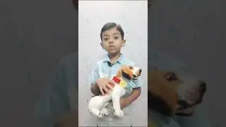 New future gadget for pets