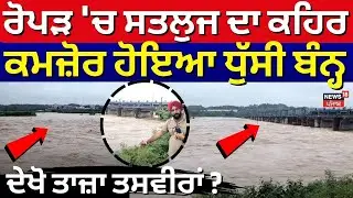 Ropar Flood News | ਰੋਪੜ 'ਚ ਸਤਲੁਜ ਦਾ ਕਹਿਰ, ਕਮਜ਼ੋਰ ਹੋਏ ਧੁੱਸੀ ਬੰਨ੍ਹ, ਦੇਖੋ ਤਾਜ਼ਾ ਤਸਵੀਰਾਂ ? | N18V