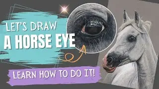 The Magic of Drawing a Horse Eye with Pastel Pencils / Drawing Tutorial