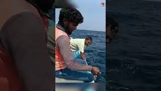 Catching King Fish Using Ribbon Fish as Bait #fishing #fishingvideo #fishingtime