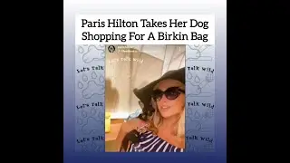 Hilton Pets: Paris Hilton Takes Her Dog Diamond Shopping For A New Hermes Birkin Bag