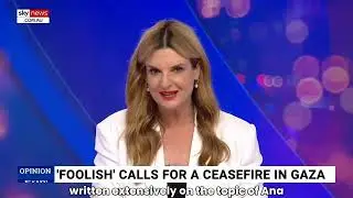 Australia and Canada did not &lsquo;understand&rsquo; meaning behind ceasefire vote for Gaza