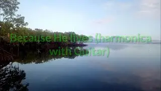 Relaxing SDA music with Guitar and Harmonica (Because He lives I can face tomorrow)