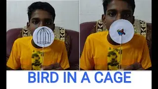 BIRD IN A CAGE || PERSISTENCE OF VISION || OPTICAL ILLUSION || HOW TO MAKE A BIRD IN  A CAGE