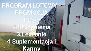 Sprzedam Program Lotowy- PROMOCJA 2025r. NOWOŚĆ!!! Szczepienia, Lotowanie, Rozpł&oacute;d, Pierzenie. Leki.
