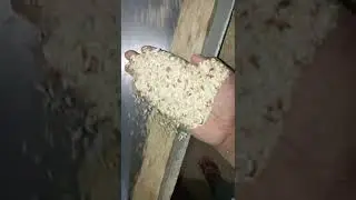 rice mill separator paddy machine