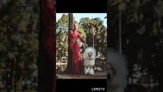 Meu melhores momentos com minhas roupas de Rico/LOMOTF Halessia