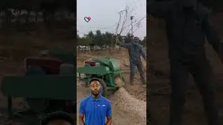 Transforming Yard Waste: Innovative Tree Branch Shredders #fcnfm #youtubeshorts #treebranch #tree