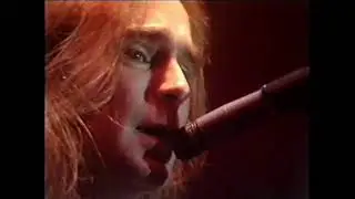 Status Quo - Live at Birmingham N.E.C. / The Princes Trust - 14th May 1982
