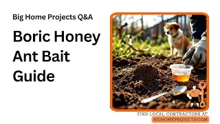 Boric Honey Bait Method For Large Ant Mounds