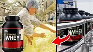 How WHEY PROTEIN is Made In Factories | You Won't Want to Miss This