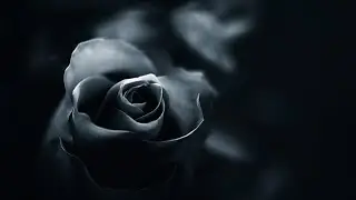 Relaxing Dark Romantic Music &ndash; Black Rose ★290 | Spooky, Gothic